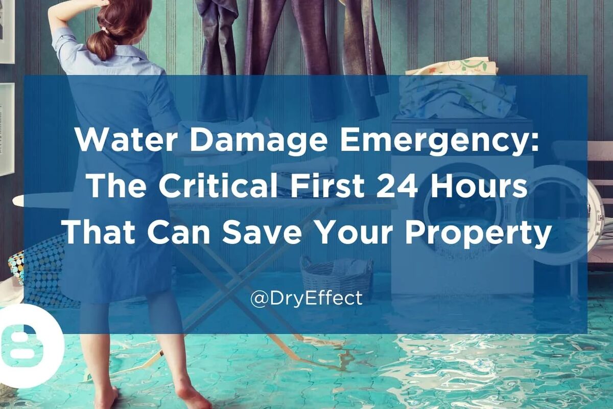 What does a Water Restoration Company do?