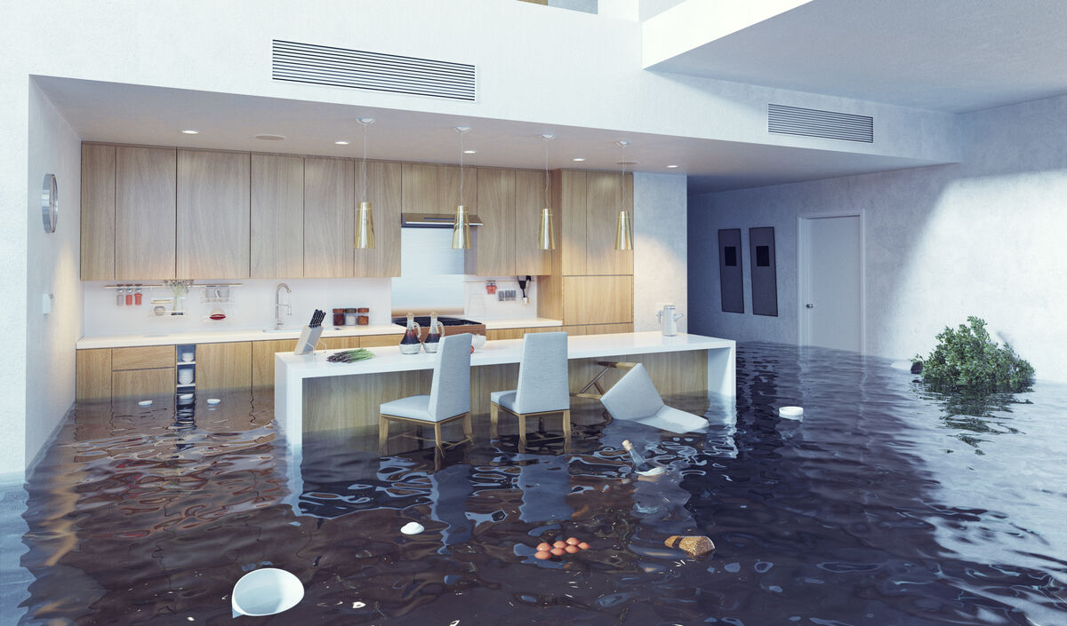 Main Causes of Sewer Backups
